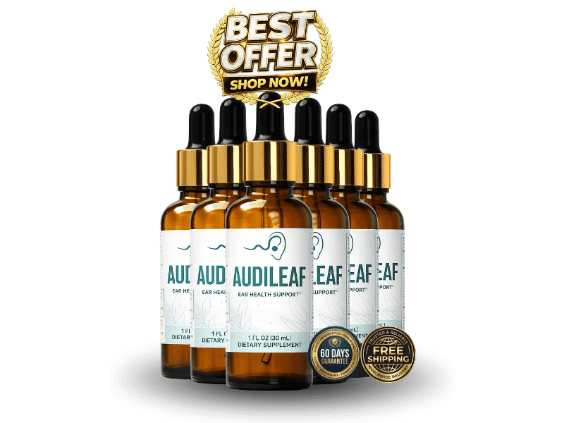  AudiLeaf price