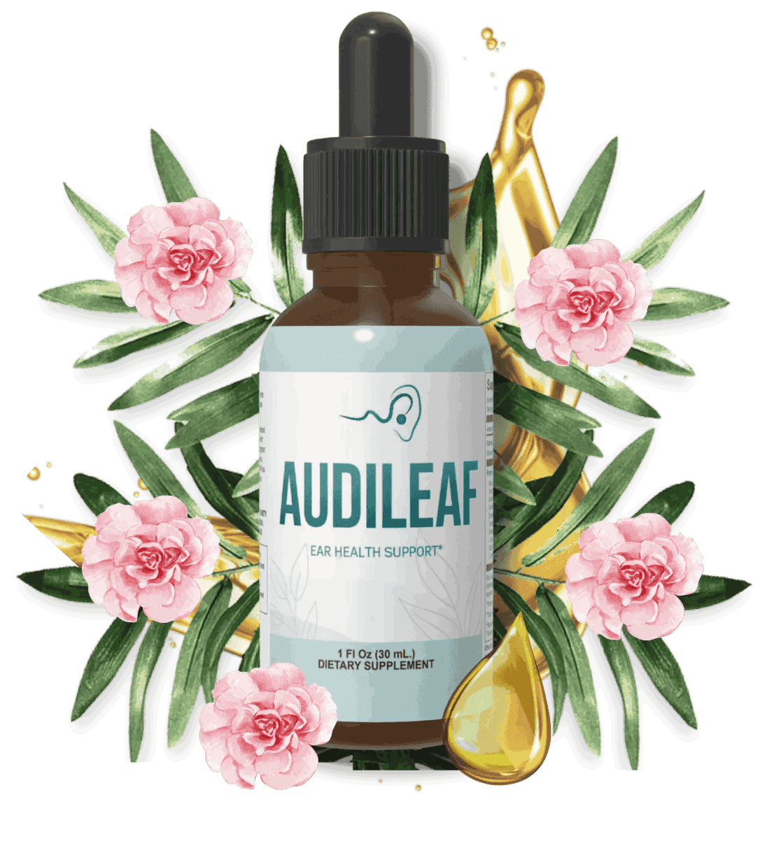  AudiLeaf ear health support